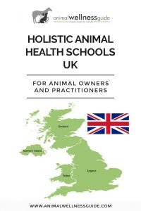 Holistic Animal Health Schools in the UK | Animal Wellness Guide