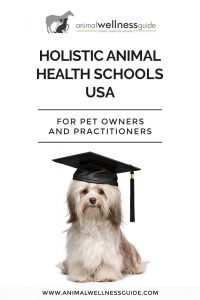 Holistic animal health schools USA by Animal Wellness Guide