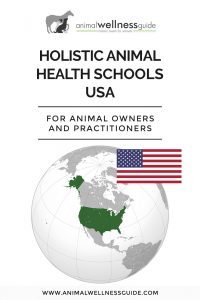 Holistic Animal Health Schools in the USA | Animal Wellness Guide