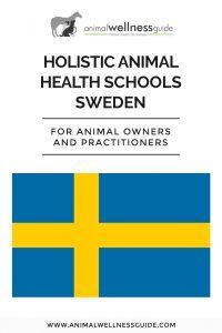 Holistic Animal Health Schools in Sweden | Animal Wellness Guide