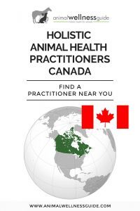 Holistic Animal Health Practitioners in Canada by Animal Wellness Guide