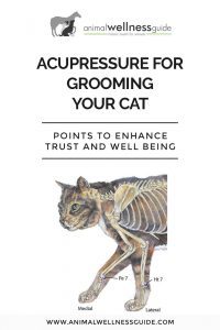 Acupressure for Grooming Your Cat Animal Wellness Guide