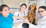 Q&A: How To Get Referrals from Veterinarians