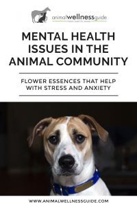 Mental Health Issues in the Animal Community Animal Wellness Guide