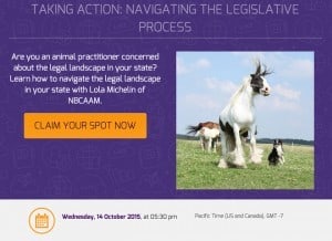 Animal Massage Legislation Webinar