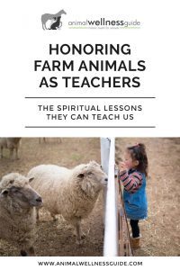 What Happens When We Honor Farm Animals as Teachers? Animal Wellness Guide