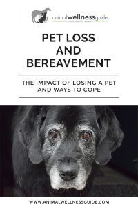 Pet Loss and Bereavement Animal Wellness Guide