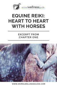 Equine Reiki book excerpt at Animal Wellness Guide