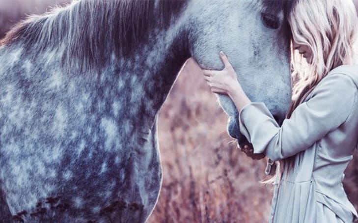 Equine Reiki: Heart To Heart With Horses Part 1 | Animal Wellness Guide