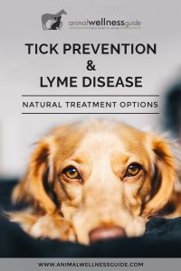 Natural tick prevention and lyme disease treatment | Animal Wellness Guide p